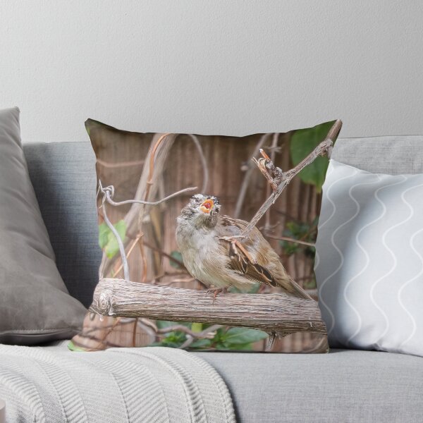 Item preview, "Oh sole mio" designed and sold by CarolM.