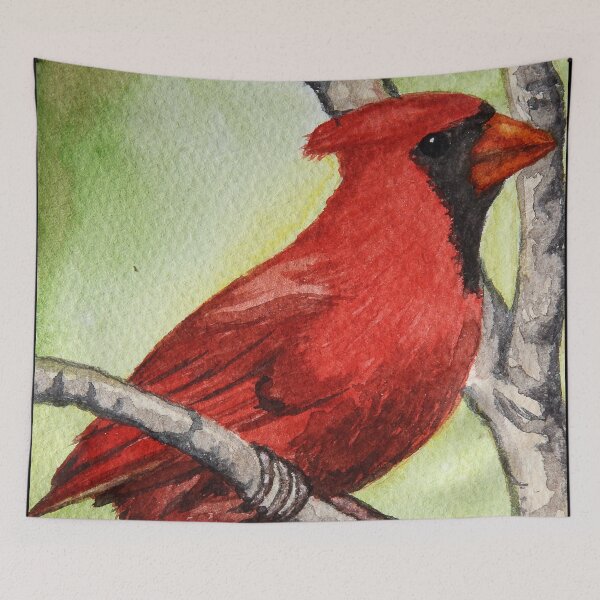 Item preview, Red cardinal watercolor painting by Bazil Zerinsky. designed and sold by RedFinchDesigns.