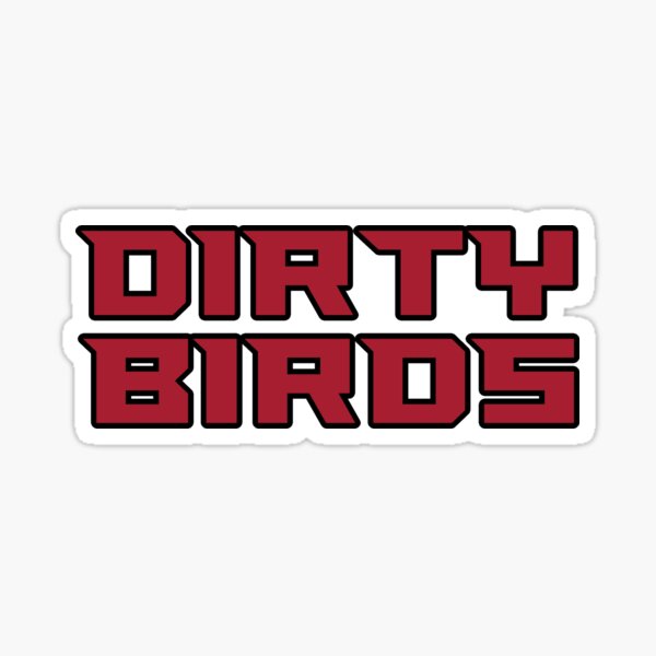 Atlanta Falcons Throwback Logo Dirty Bird Sock 