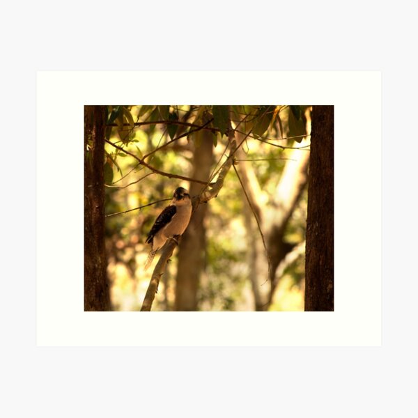Item preview, Kookaburra, Moreton Island designed and sold by Aloush  Creations.