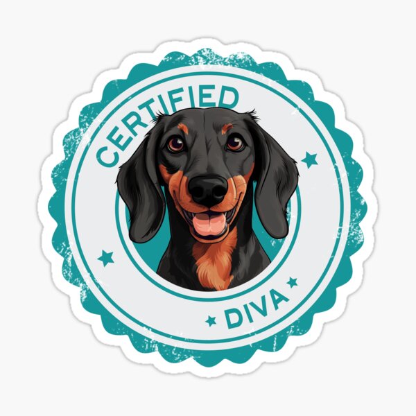 Item preview, Dachshund -  Black and Red - 'Certified Diva' designed and sold by wotsthis.