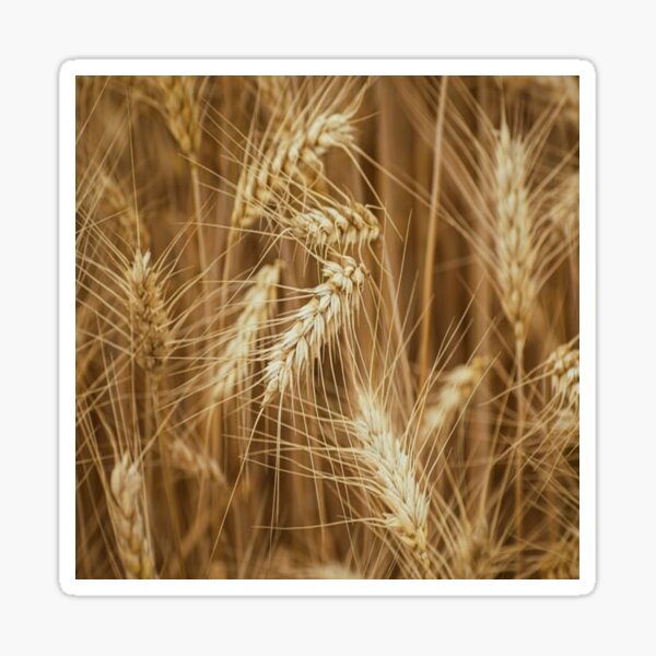Item preview, Gluten Free designed and sold by sloganwriter12.