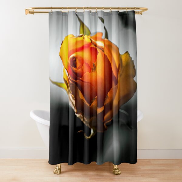 Aperçu de l'œuvre Orange Rose créée et vendue par JCoPhotography.