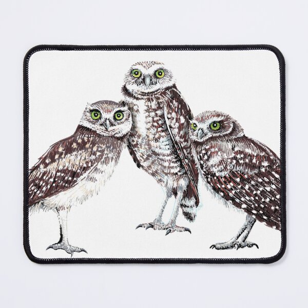 Item preview, Trio of burrowing owls designed and sold by Thomas-Duane.
