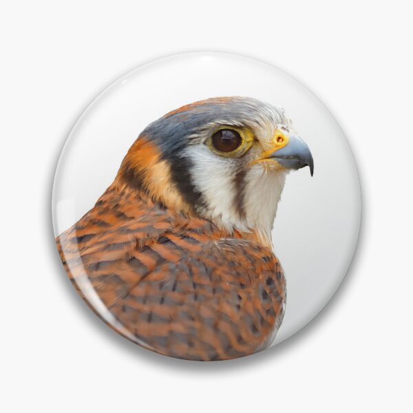 Item preview, Profile of a American Kestrel Sparrowhawk designed and sold by walkswithnature.