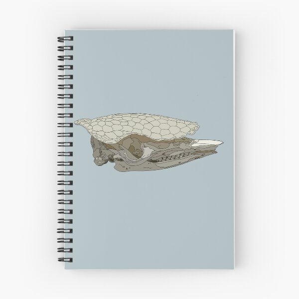 Item preview, Pangolin skull designed and sold by Sophiehammond.