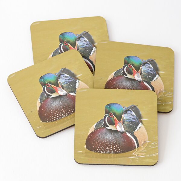 Item preview, Stunning Wood Duck in the Water designed and sold by walkswithnature.