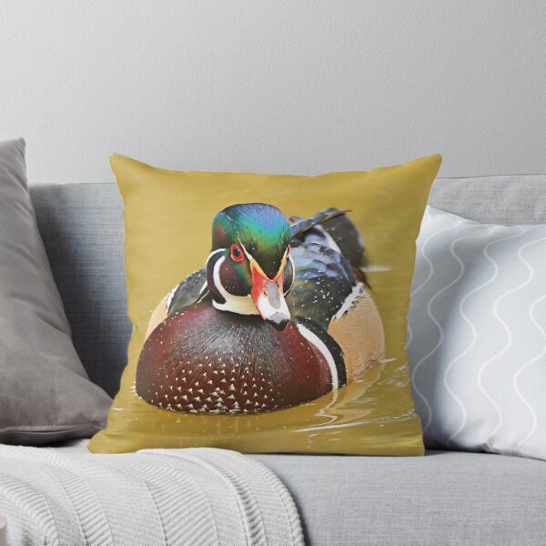 Item preview, Stunning Wood Duck in the Water designed and sold by walkswithnature.