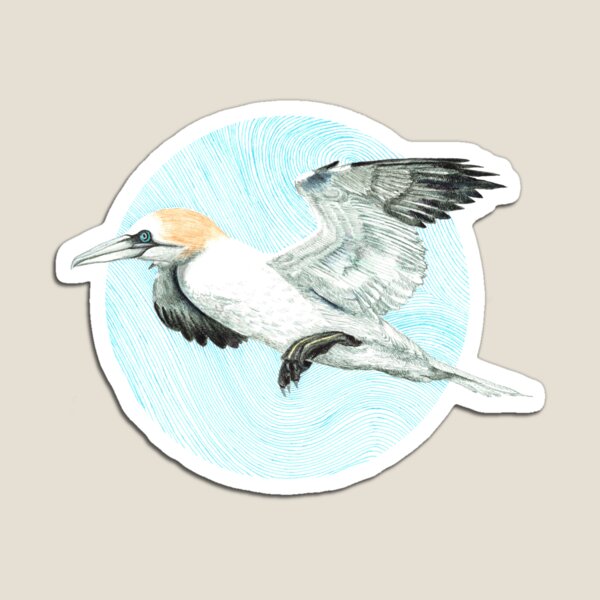 Item preview, Northern Gannet in flight designed and sold by Thomas-Duane.