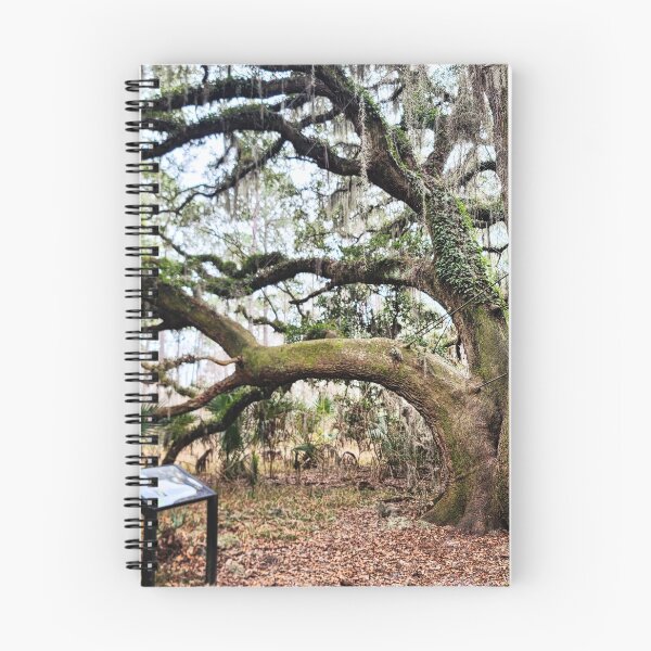Item preview, Moss Covered Tree designed and sold by JennyYoungblood.
