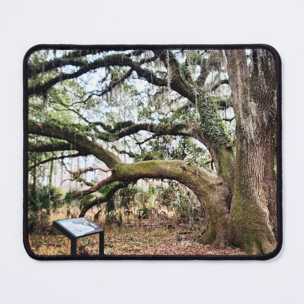 Item preview, Moss Covered Tree designed and sold by JennyYoungblood.