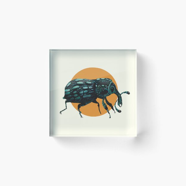 Item preview, Botany Bay Weevil designed and sold by Karin Taylor.
