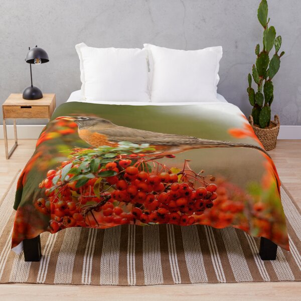 Item preview, Stunning American Robin on Scarlet Firethorn Bush designed and sold by walkswithnature.