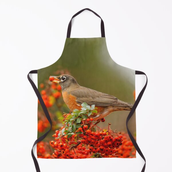 Item preview, Stunning American Robin on Scarlet Firethorn Bush designed and sold by walkswithnature.