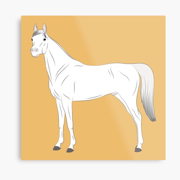 Aperçu de l'œuvre Cheval Abbayan, dessin cheval blanc, cheval oriental, races de chevaux du Yémen créée et vendue par WebEquitation®.