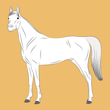 Aperçu de l'œuvre Cheval Abbayan, dessin cheval blanc, cheval oriental, races de chevaux du Yémen de WebEquitation®