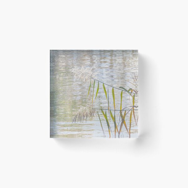 Item preview, Over water designed and sold by Ralph Goldsmith.