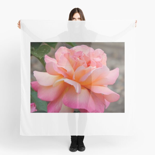 Petal Soft Scarf