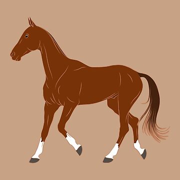 Aperçu de l'œuvre Cheval Akhal Téké, dessin cheval alezan, cheval de selle, races de chevaux du Turkménistan de WebEquitation®