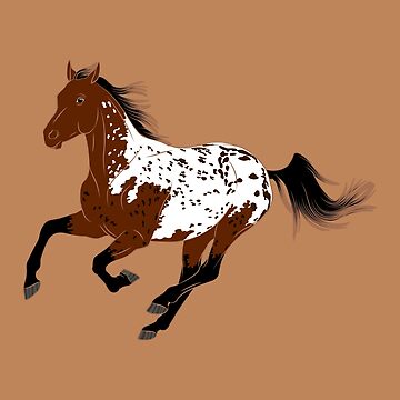 Aperçu de l'œuvre Cheval Appaloosa, dessin cheval tacheté, cheval de selle, races de chevaux des États Unis de WebEquitation®