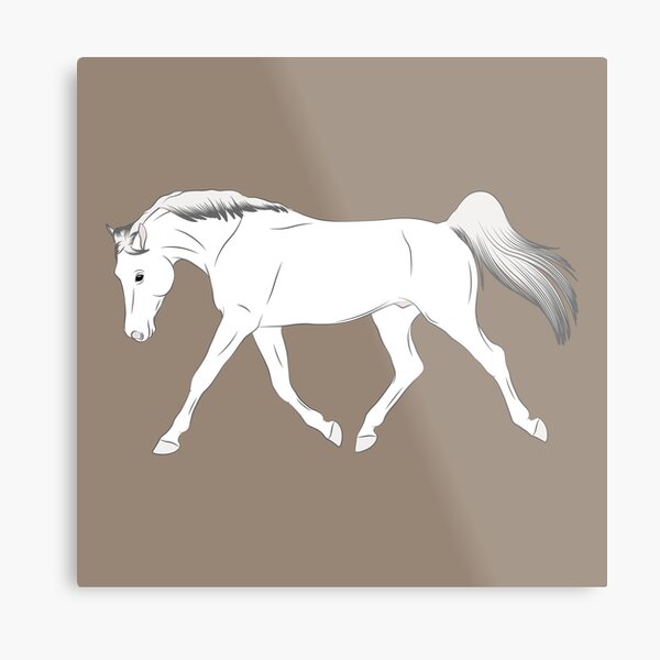 Aperçu de l'œuvre Cheval Arabe Shagya, dessin cheval gris, cheval oriental, races de chevaux de la Hongrie créée et vendue par WebEquitation®.