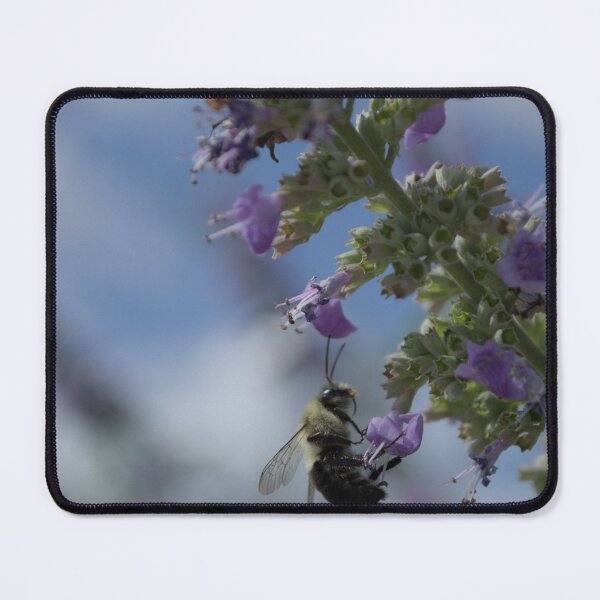 Item preview, Bumblebee designed and sold by MercerImages.