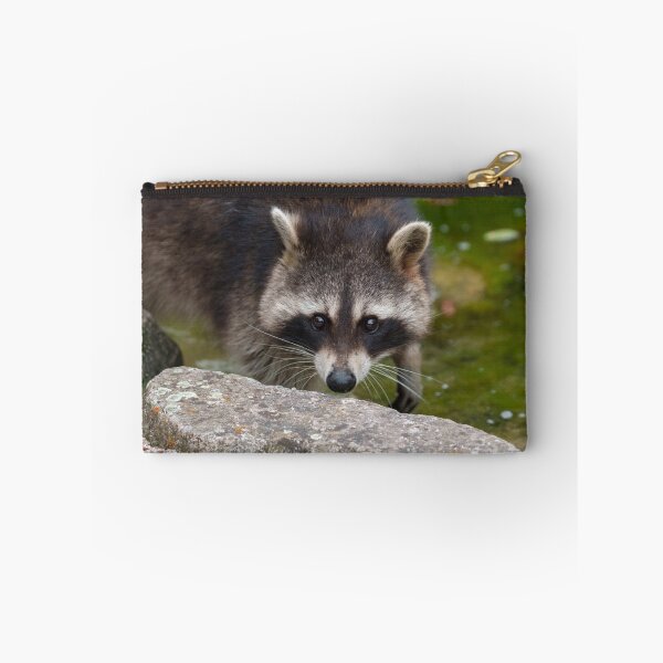 Item preview, Raccoon Makes Direct Eye Contact designed and sold by rawshutterbug.