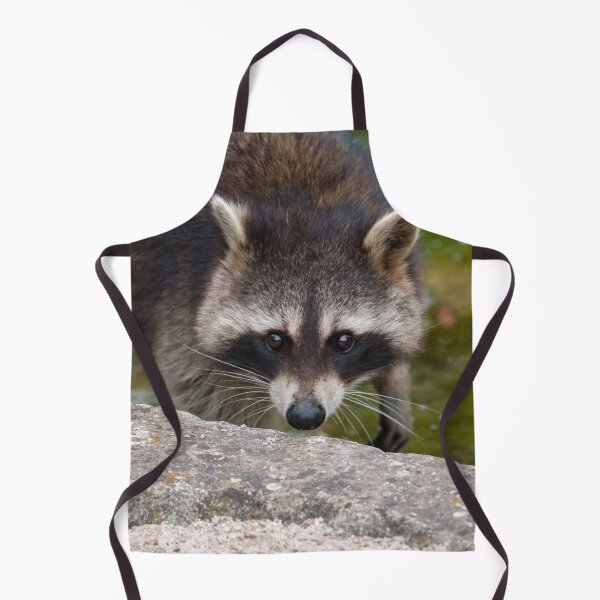 Item preview, Raccoon Makes Direct Eye Contact designed and sold by rawshutterbug.
