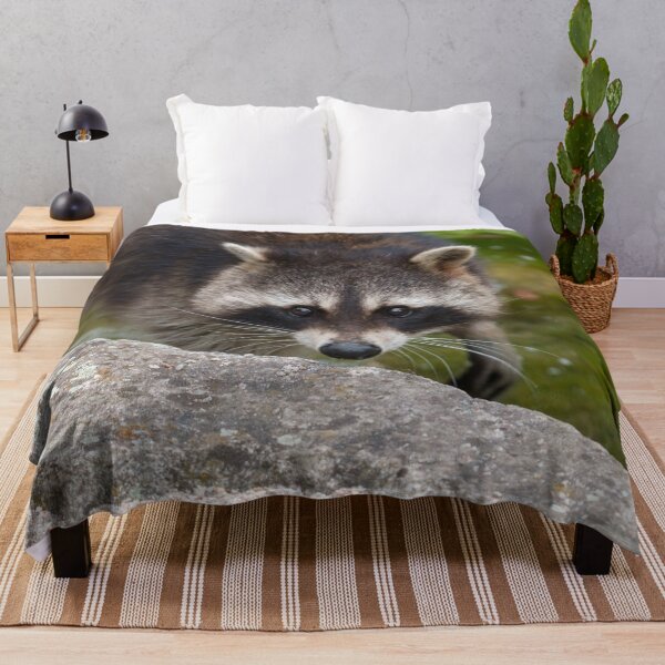 Item preview, Raccoon Makes Direct Eye Contact designed and sold by rawshutterbug.