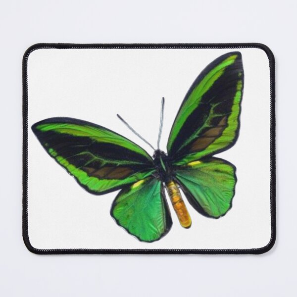 Item preview, Green butterfly designed and sold by di-Vera-Rosati.
