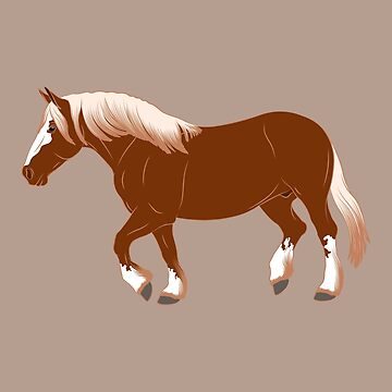 Aperçu de l'œuvre Cheval Breton, dessin cheval alezan, cheval de trait, races de chevaux de la France de WebEquitation®