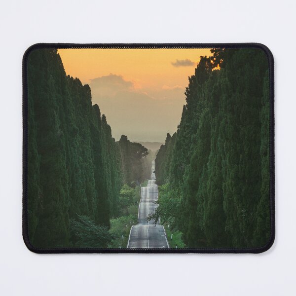 Item preview, The Avenue of Bolgheri at sunset. Maremma, Tuscany, Italy designed and sold by Stefano Orazzini.