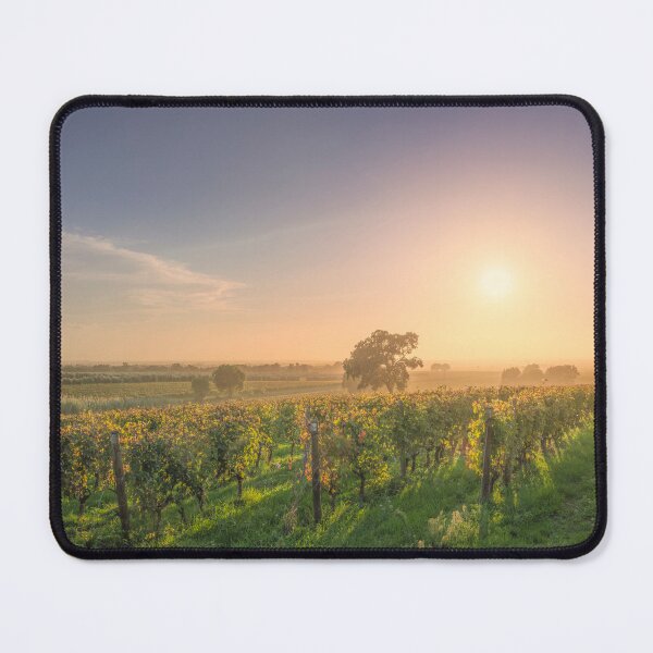Item preview, Bolgheri vineyards and trees in a foggy sunset. Tuscany, Italy designed and sold by Stefano Orazzini.