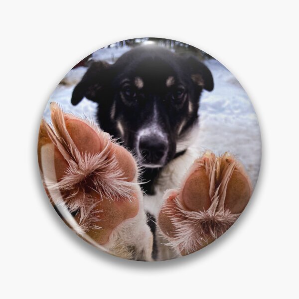 Item preview, Paws Up designed and sold by chelsea125.
