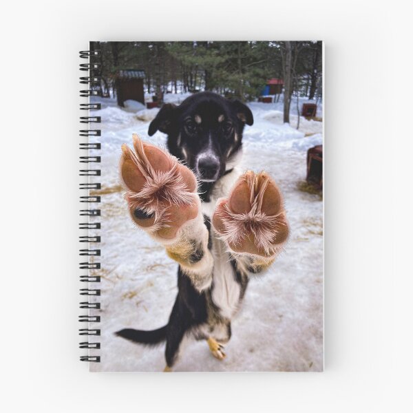 Item preview, Paws Up designed and sold by chelsea125.