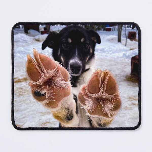 Item preview, Paws Up designed and sold by chelsea125.