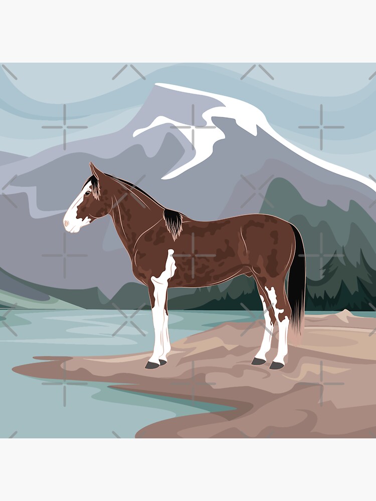 Aperçu 3 sur 3. Magnet avec l'œuvre Cheval Criollo Argentin, cheval tacheté sur un fond de paysage, cheval de selle, races de chevaux de l'Argentine créée et vendue par WebEquitation.