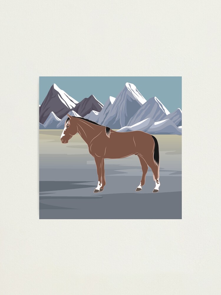 Aperçu 2 sur 3. Impression photo avec l'œuvre Cheval Criollo Vénézuélien, cheval rouanné sur un fond de paysage, cheval d'allure, races de chevaux du Venezuela créée et vendue par WebEquitation.