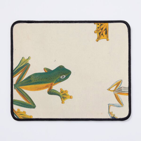 Item preview, Vintage Frog Zoological Illustration designed and sold by InnerCitadel.