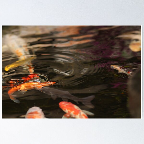 Item preview, A KOI KOI designed and sold by bero84.
