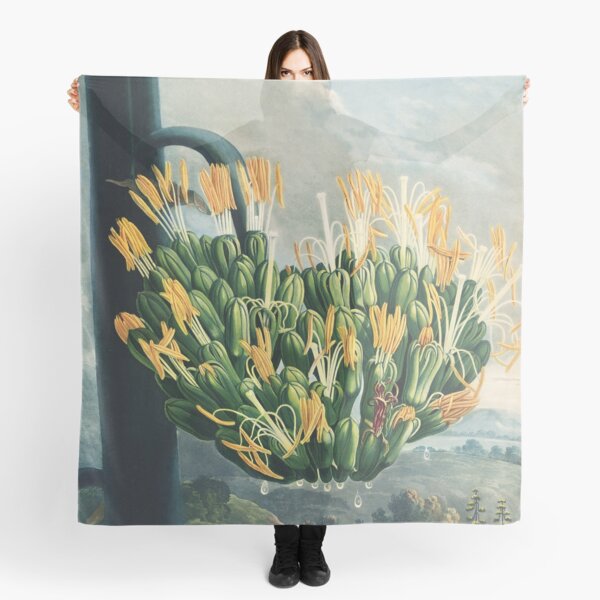 Item preview, Vintage Agave Botanical Illustration by Robert John Thornton designed and sold by InnerCitadel.