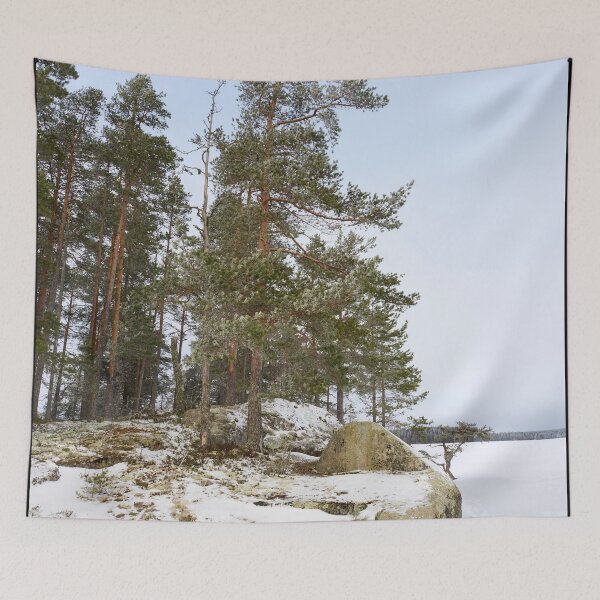 Artikelvorschau, Felseninsel. Haukkajärvi entworfen und verkauft von Jouko Lehto Photography.