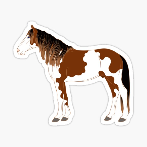 Aperçu de l'œuvre Cheval Barbe d'Abaco, cheval sauvage, cheval pie, lignée du cheval Berbère, races de chevaux des Bahamas créée et vendue par WebEquitation®.