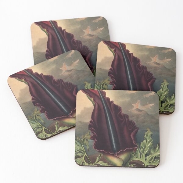 Item preview, The Dragon Arum by Robert John Thornton Botanical Illustration designed and sold by InnerCitadel.