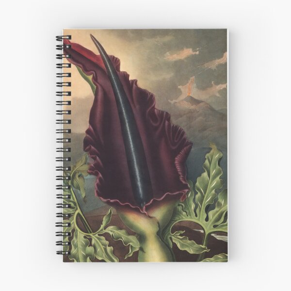 Item preview, The Dragon Arum by Robert John Thornton Botanical Illustration designed and sold by InnerCitadel.