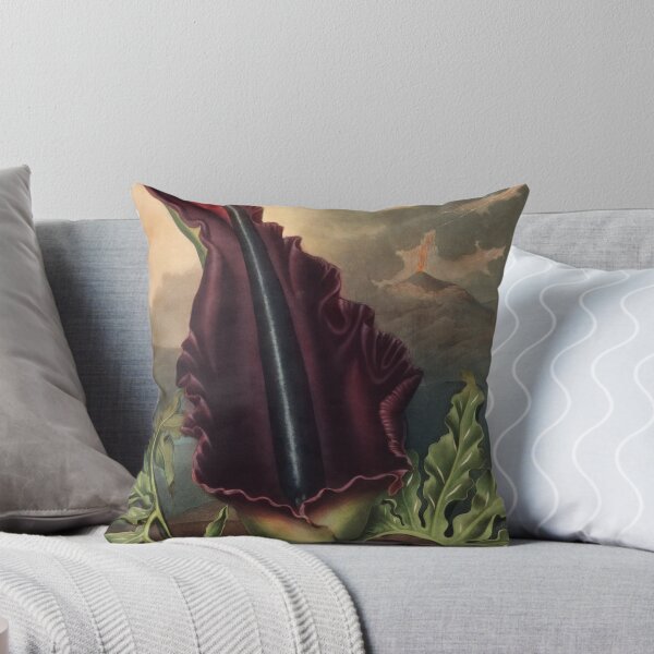 Item preview, The Dragon Arum by Robert John Thornton Botanical Illustration designed and sold by InnerCitadel.