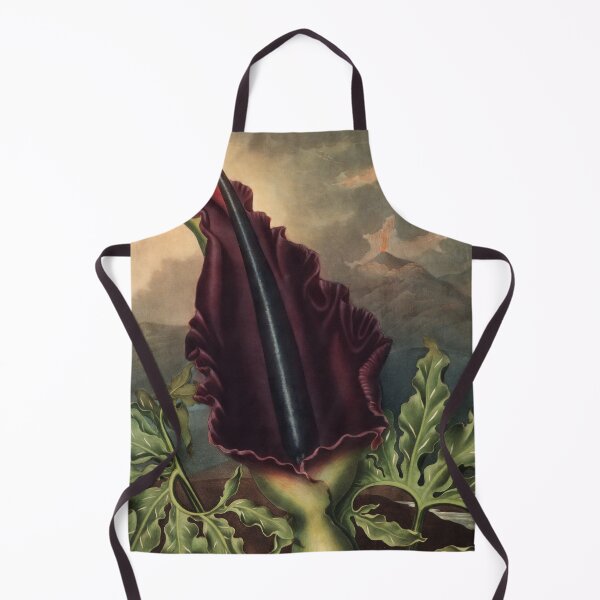 Item preview, The Dragon Arum by Robert John Thornton Botanical Illustration designed and sold by InnerCitadel.