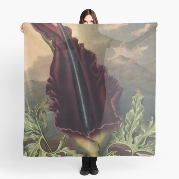 Item preview, The Dragon Arum by Robert John Thornton Botanical Illustration designed and sold by InnerCitadel.