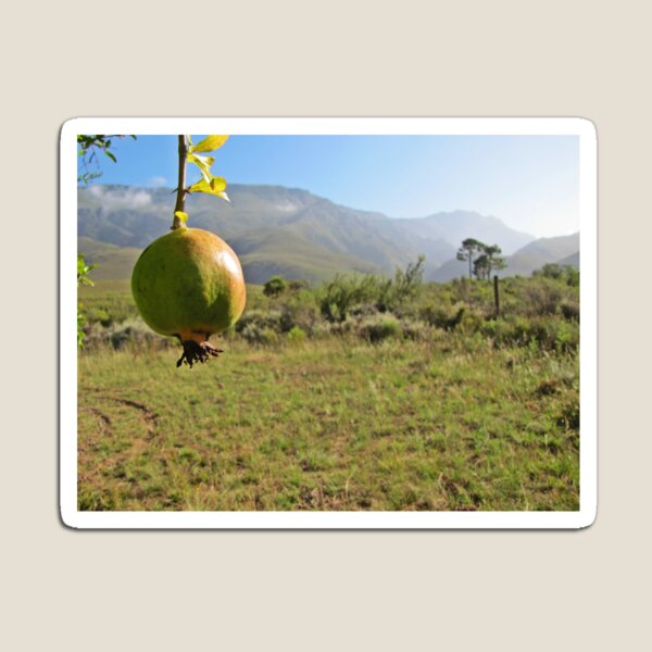 Item preview, The low-hanging fruit designed and sold by BiodiversityRocks.