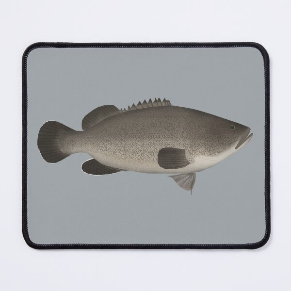 Item preview, Murray Cod designed and sold by fishfolkart.